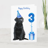 3rd Birthday Puppy Theme - Cute Dog Blue Boy Pawty Kaart (Voorkant)