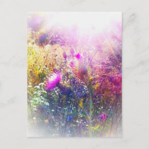 3THISTLES BRIEFKAART