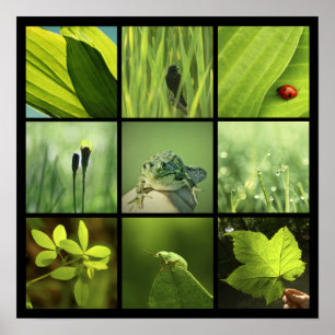 3x3 groene foto's natuur afdrukken poster