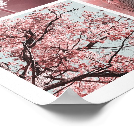 3x3 roze foto's Afdrukken Poster (Hoek)