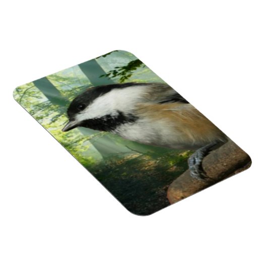 3x4 fotomagneet magneet (Rechterzijde)