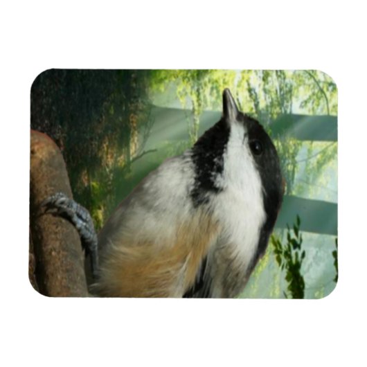 3x4 fotomagneet magneet (Horizontaal)