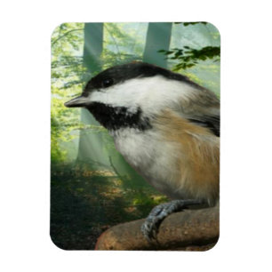 3x4 fotomagneet magneet