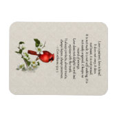 3x4 Red Bird Dogwood Love is Patiënt Love is Kind Magneet (Horizontaal)