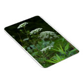 3x4 sjabloon van de referentiekmagneten magneet (Rechterzijde)