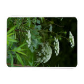 3x4 sjabloon van de referentiekmagneten magneet (Horizontaal)