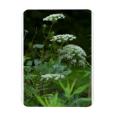 3x4 sjabloon van de referentiekmagneten magneet (Verticaal)