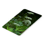 3x4 sjabloon van de referentiekmagneten magneet (Linkerzijde)