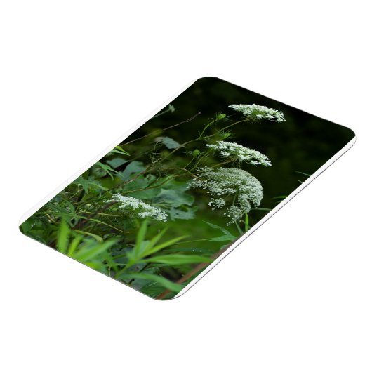 3x4 sjabloon van de referentiekmagneten magneet (Linkerzijde)