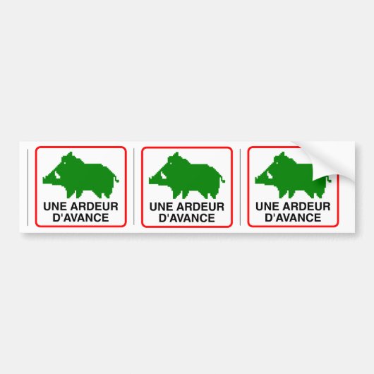 3x STICKER SNEL AUTO - EEN VOORSTANDSARDEUR (Voorkant)