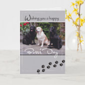 4004 Boss's Day Dogs, Wij allemaal Kaart (Gele Bloem)