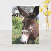 40? DAT ZOU NOOIT GEBEURD ZIJN! KAART (Gele Bloem)