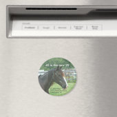 40 is de nieuwe 20 magneet (Insitu (Vaatwasser))