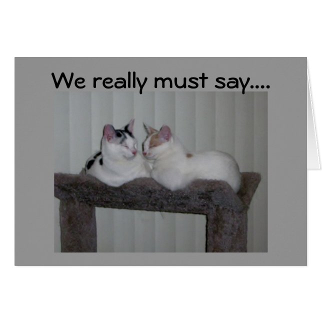 "40" KIJKT OP JE SPINNEND! (Voorkant Horizontaal)