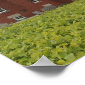 40 Mile Point Lighthouse Poster (Hoek)