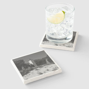 40 Mile Point Lighthouse Stenen Onderzetter