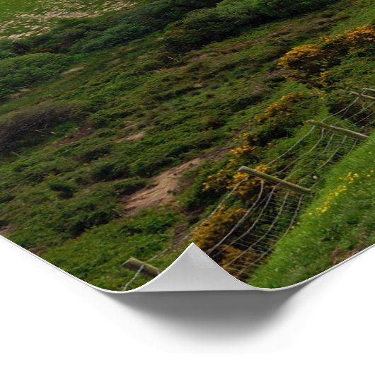 40 Shades of Green Poster (Hoek)