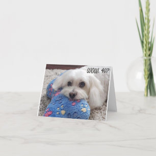 *40e BIRTHDAY* HA HA (FUNNY DOG HUMOR) Kaart