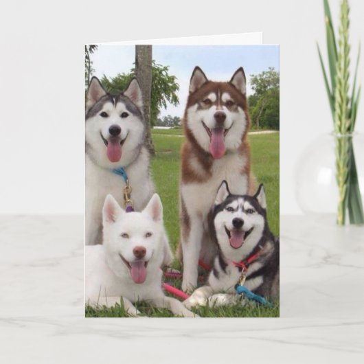 **40E** BIRTHDAY-HUMOR VAN DE SIBERISCHE HUSKEY-GR KAART (Voorkant)