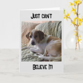 "40e BIRTHDAY??? JE KAN NIET GELOVEN DAT IT Kaart (Gele Bloem)