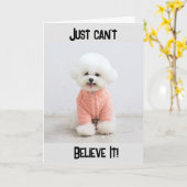 "40e BIRTHDAY??? JE KAN NIET GELOVEN DAT IT Kaart (Gele Bloem)