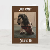 "40e BIRTHDAY??? JE KAN NIET GELOVEN DAT IT Kaart (Voorkant)