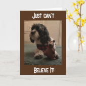 "40e BIRTHDAY??? JE KAN NIET GELOVEN DAT IT Kaart (Gele Bloem)