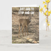 "40e BIRTHDAY WISHES" VAN EEN COOL DEER-Kaart Kaart (Gele Bloem)