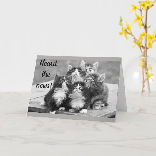 ***40e BIRTHDAY WISHES** VAN SOMMIGE KITTENS Kaart (Gele Bloem)