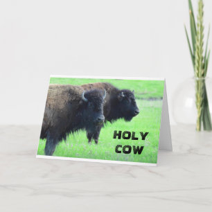 *** 40e halve dag*** UIT COMEDIC BUFFALO Kaart