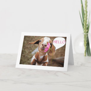 **40e halve dag" VAN KLEINE "OUD" ME **OUD JE** Kaart