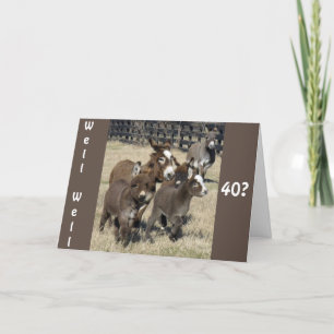 **40e HUMOR op de VIERDERDAG VAN DONKEYS NIET MIND Kaart