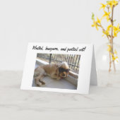 40e MAANDAG GEWASSEN EN HONGOVER Kaart (Gele Bloem)