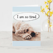 **40e TWEEDE DAG** BEWAARDE DOG IS EVENEENS EEN FU Kaart (Gele Bloem)