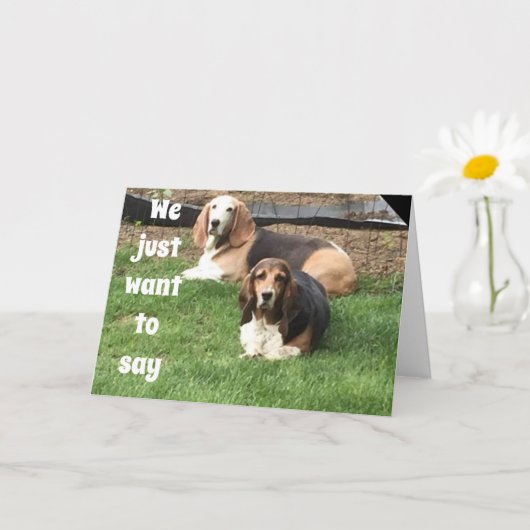 **40e TWEEDE DAG** VAN DE AANVULLENDE HONDEN Kaart (Kleine Plant)