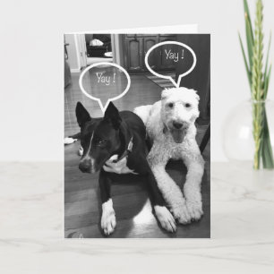 **40e** VERJAARDAG HUMOR VAN EEN PAAR PUPS Kaart