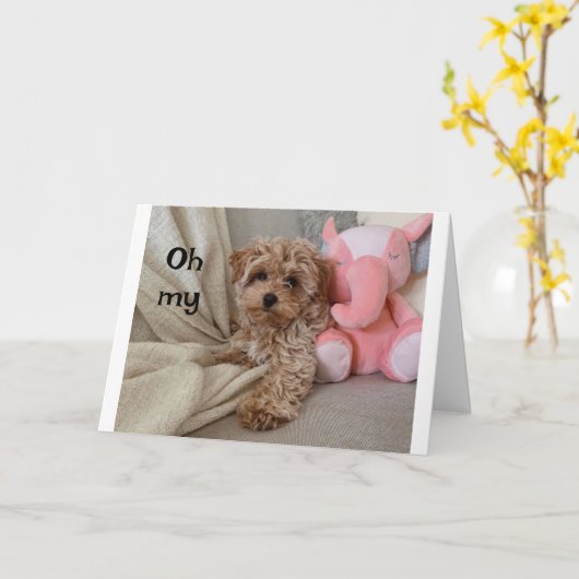 *40e VERJAARDAG* IETS OM "OVER TE BLAFFEN" Kaart (Gele Bloem)