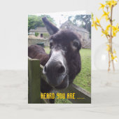 40e verjaardag kaart (Gele Bloem)