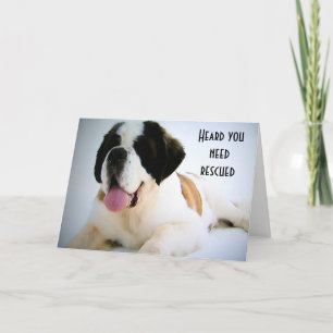 40e VERJAARDAG REDDINGSHOND Kaart