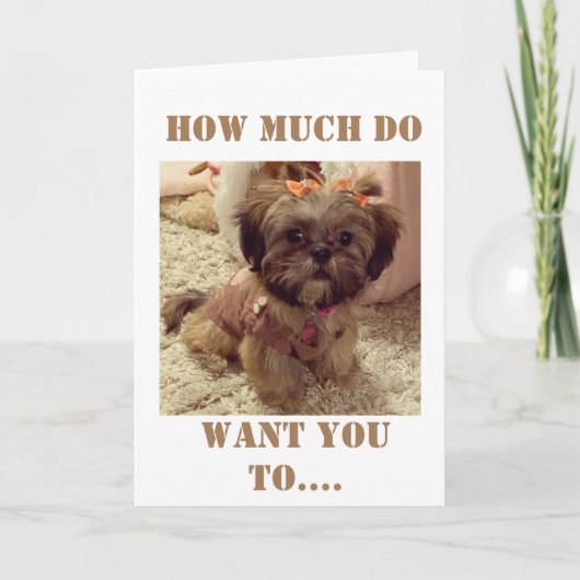 **40E VERJAARDAG** WENSEN VAN DEZE LIEVE PUP KAART (Voorkant)