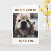 **40E VERJAARDAG** WOOF WOOF ZEGT SPANIEL KAART (Gele Bloem)