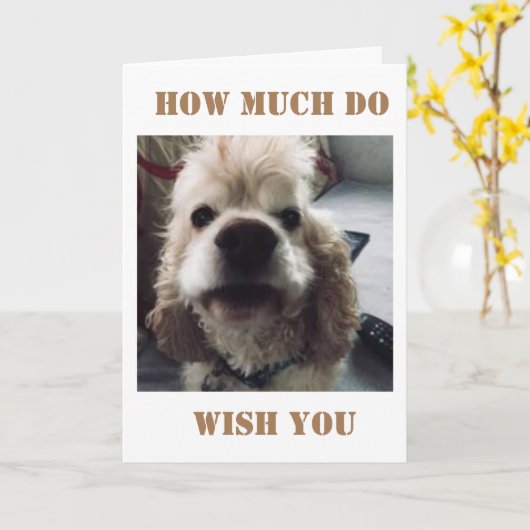 **40E VERJAARDAG** WOOF WOOF ZEGT SPANIEL KAART (Gele Bloem)