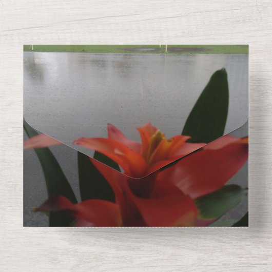 40ste huwelijksverjaardag uitnodiging Ruby Rain Mo (Achterkant)