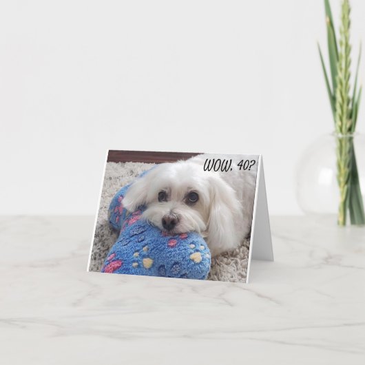 *40ste VERJAARDAG* HA HA HA HA (FUNNY DOG HUMOR) Kaart (Voorkant)