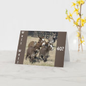 **40ste VERJAARDAG HUMOR VAN EZELS NIET MINDER** Kaart (Gele Bloem)