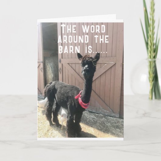 "40ste VERJAARDAG??? KAN HAAR NIET GELOVEN Kaart (Voorkant)