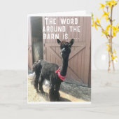 "40ste VERJAARDAG??? KAN HAAR NIET GELOVEN Kaart (Gele Bloem)