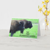 **** 40ste VERJAARDAG*** VAN COMEDIC BUFFALO Kaart (Gele Bloem)