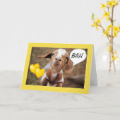 **40th BIRTHDAY** WISHES FROM A SILLY LITTLE GOAT Kaart (Gele Bloem)