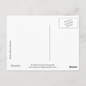 41786a Hunk Briefkaart (Achterkant)